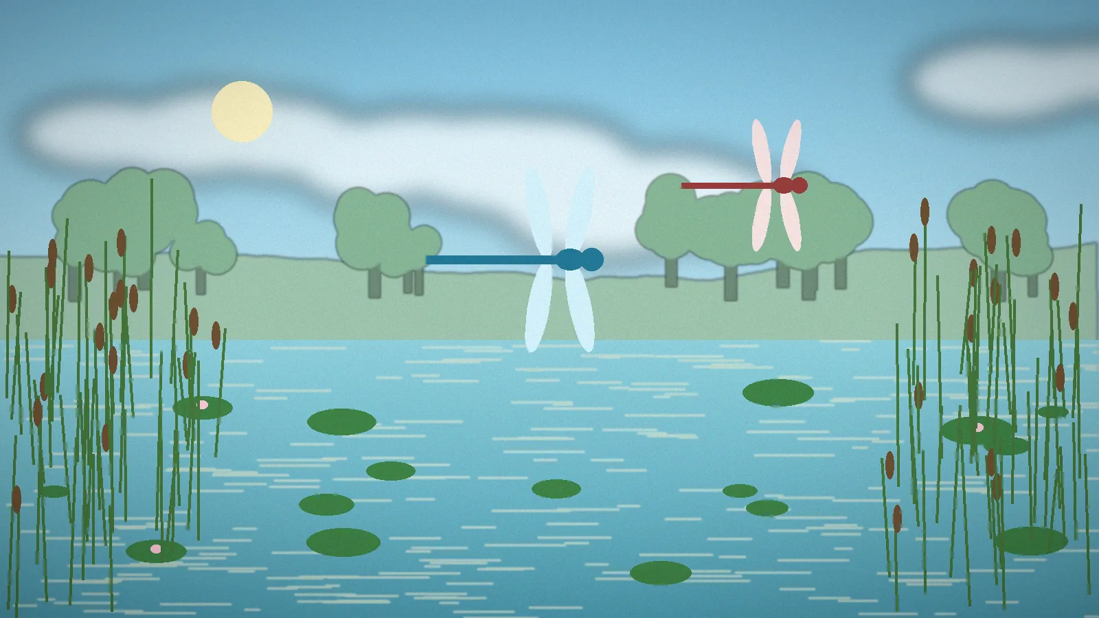 Two dragonflies hovering above a lily pond surrounded by cattails
