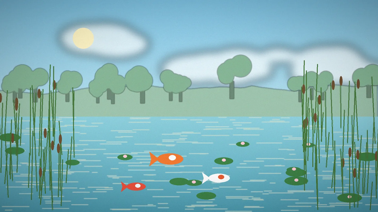 Orange, white and red koi fish swimming through a calm pond at dusk